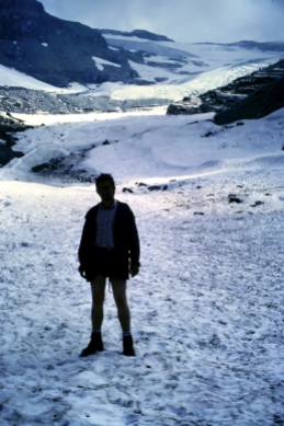 Westalpen-Gletscher zu Beginn der 1980er Jahre